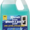 30 SECONDS Outdoor Window Cleaner Review Unveils Streak-Free Shine and Easy Hose-End Use