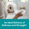 Angel Soft Toilet Paper Mega Rolls Review Softness Strength and Value Combined